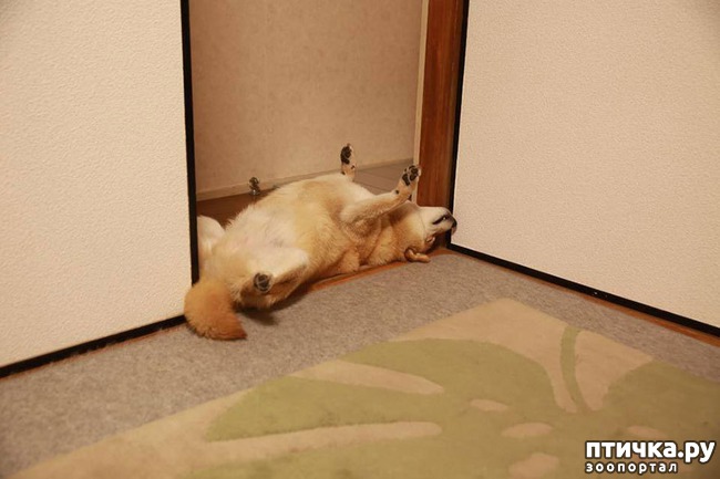 ���� 5: ����� ��������� ������ � ����