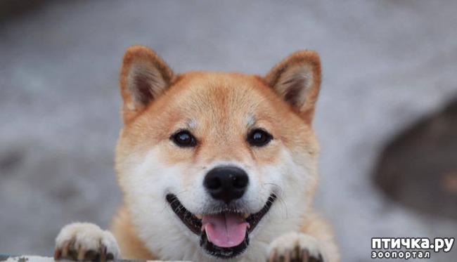 ���� 6: ����� ��������� ������ � ����