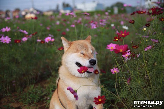 ���� 7: ����� ��������� ������ � ����