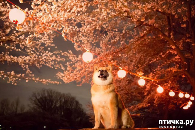 ���� 10: ����� ��������� ������ � ����