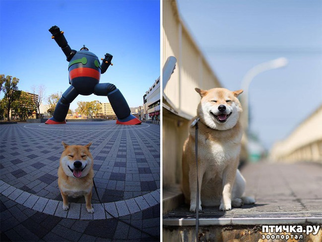 ���� 12: ����� ��������� ������ � ����