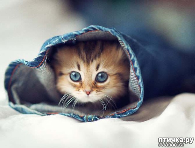 ���� 1: ������ ����� ����� ��������� ����?