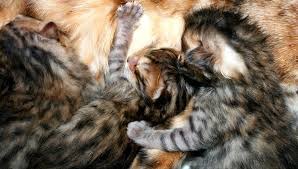 ���� 3: ������ ����� ����� ��������� ����?