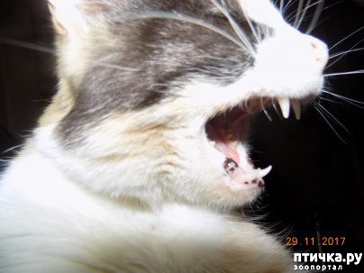 ���� 2: ����� ����� ���������...