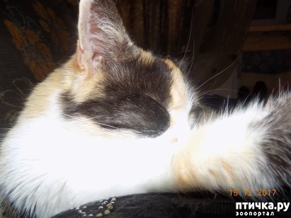 ���� 3: ����� ����� ���������...