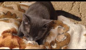 ���� 2: ������ ����� ����� ��������� ����?