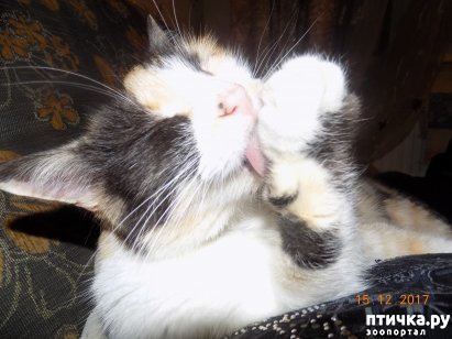 ���� 4: ����� ����� ���������...