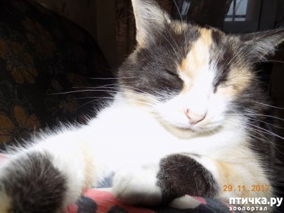 ���� 5: ����� ����� ���������...