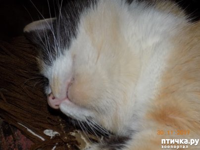 ���� 6: ����� ����� ���������...