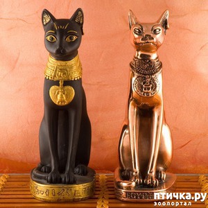 ����: ������� ������������� �����