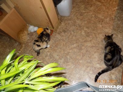 ���� 7: ����� ����� ���������...