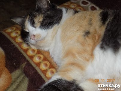 ���� 8: ����� ����� ���������...