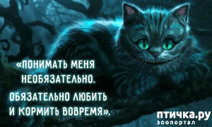 ����: ����� ����� ���������...