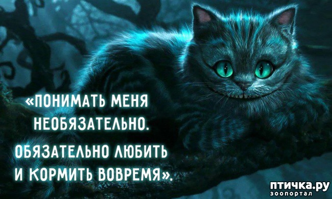 ���� 1: ����� ����� ���������...