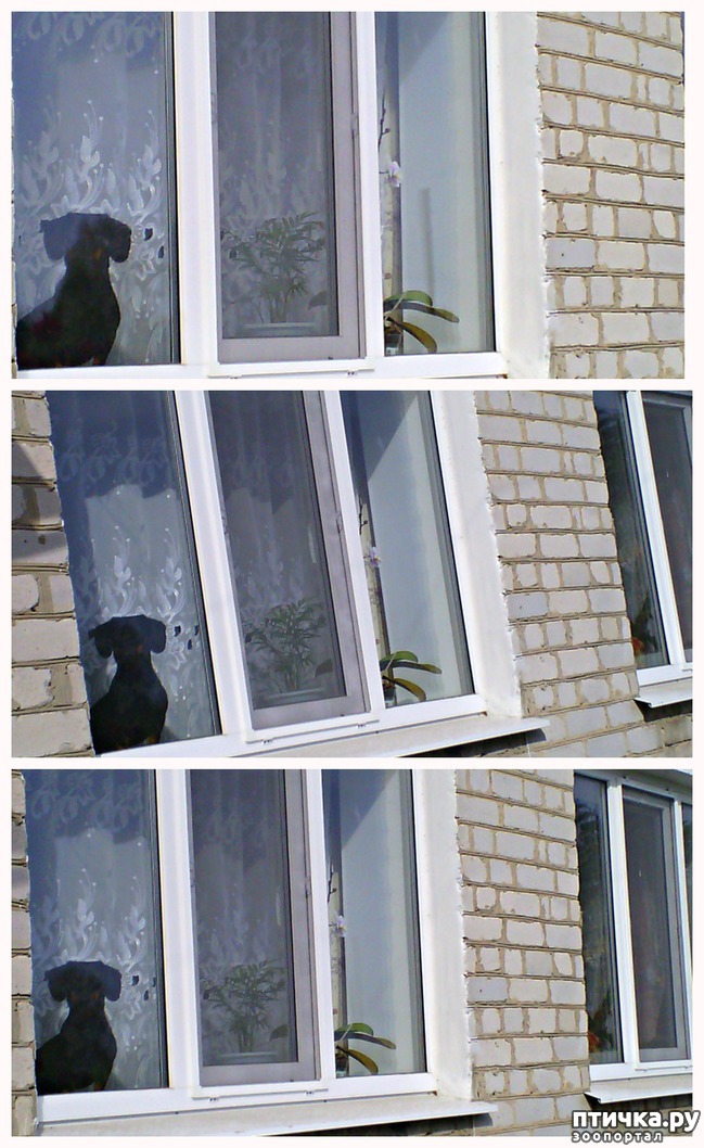 ���� 1: ���� ��� ���������� � "������" ��� ������!