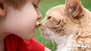 ����: ����� � ���� - ������ ��� ����?