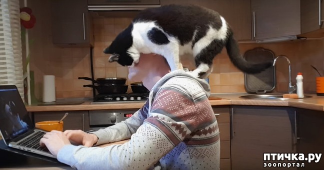 ���� 1: ��� �������� �� ���� ��������))) ������-����� �� ����))