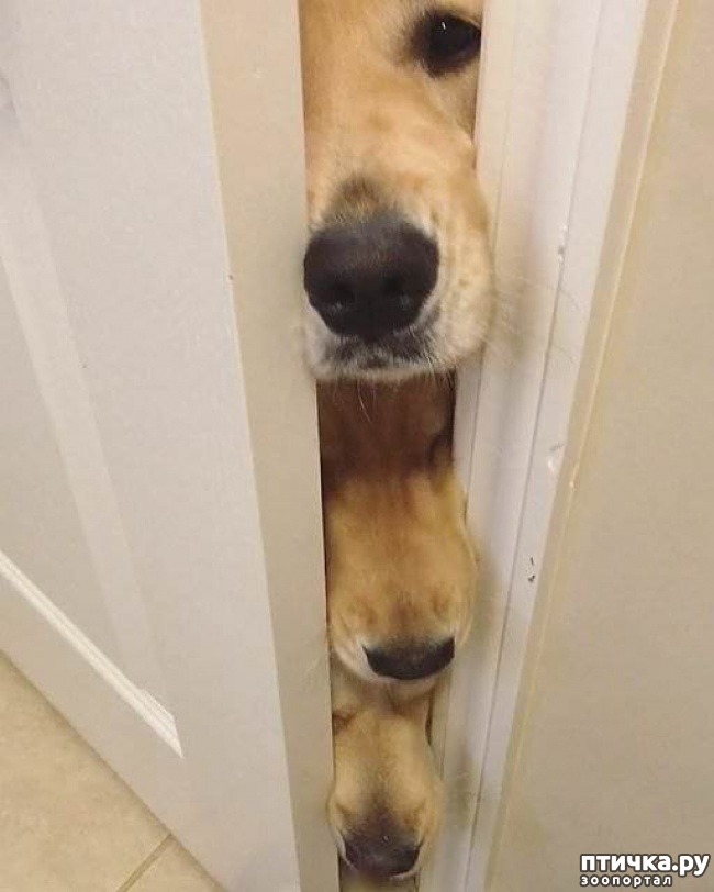 ���� 4: ��������, ������� ����� �������� ����� ������ �������� � ����� ����������� ������)))