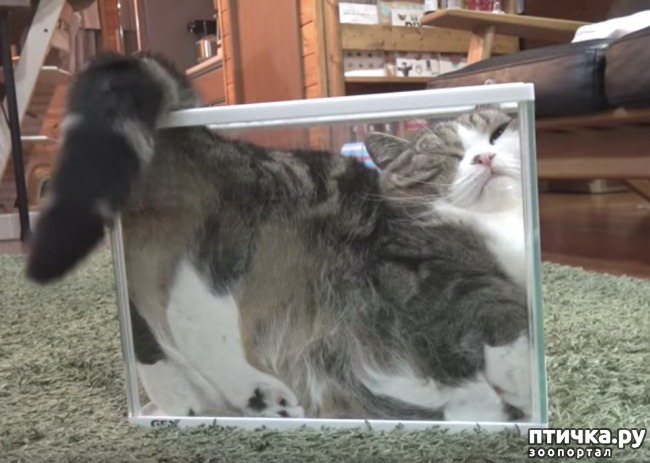 ���� 5: ��������, ������� ����� �������� ����� ������ �������� � ����� ����������� ������)))