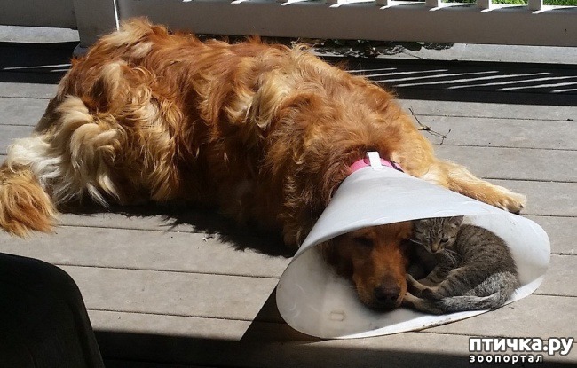 ���� 6: ��������, ������� ����� �������� ����� ������ �������� � ����� ����������� ������)))