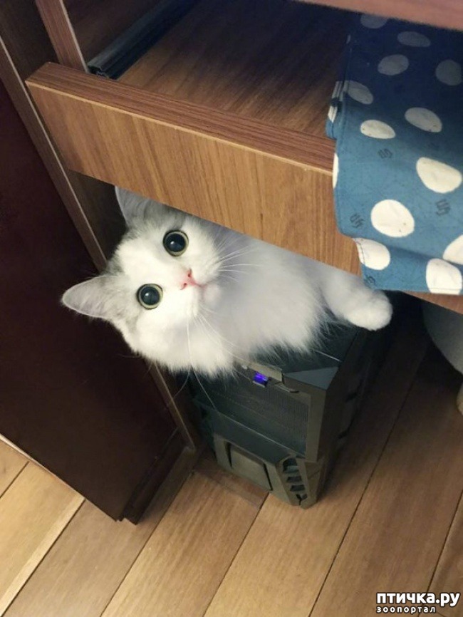 ���� 7: ��������, ������� ����� �������� ����� ������ �������� � ����� ����������� ������)))