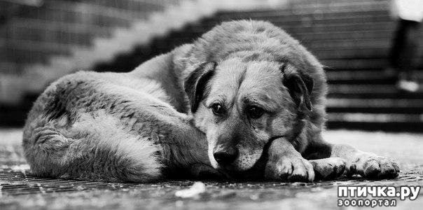 ���� 1: �� �� ������ � ������ ������