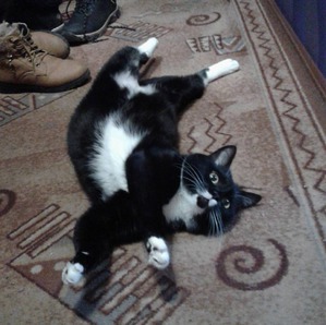 ����: ������������� ��� ����.