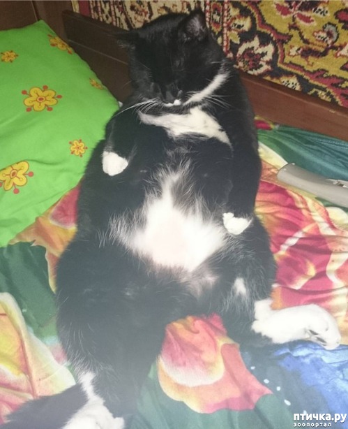 ���� 2: ������������� ��� ����.