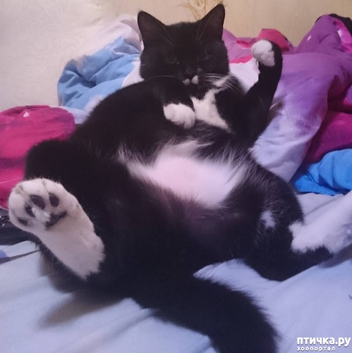 ���� 3: ������������� ��� ����.