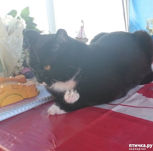 ���� 4: ������������� ��� ����.