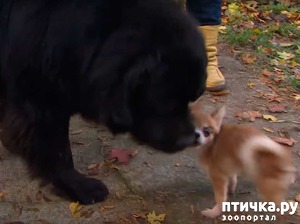 ����: �������� ������� �������� ������ ������ ������ ��������� �����))