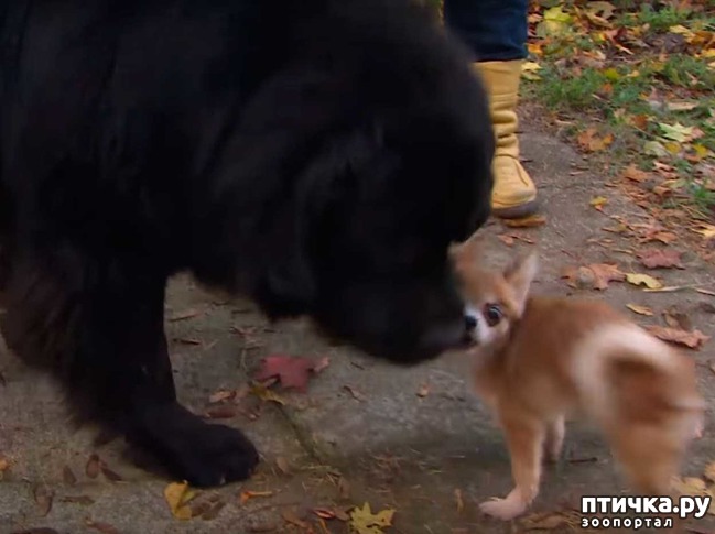 ���� 1: �������� ������� �������� ������ ������ ������ ��������� �����))