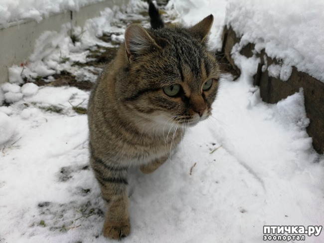 ���� 2: ������ � ��������