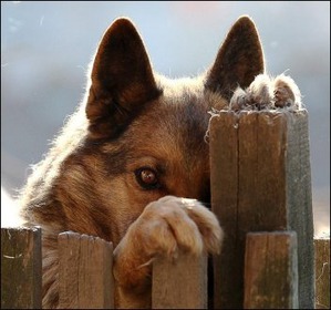 ����: �������, ��� ������� �� ����� ������� �����...