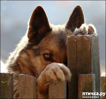 ���� 1: �������, ��� ������� �� ����� ������� �����...