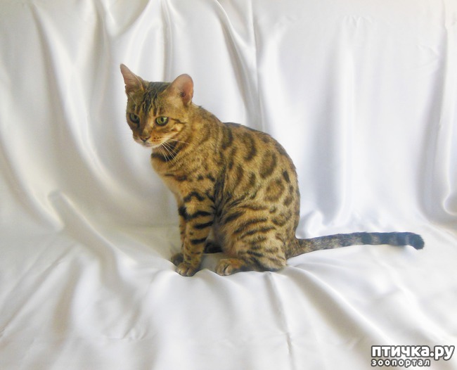 ���� 1: ���� ����� �������