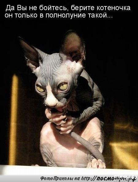 ���� 1: �������� ������������� �� ������� ������