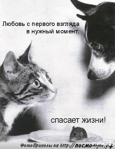 ���� 4: �������� ������������� �� ������� ������