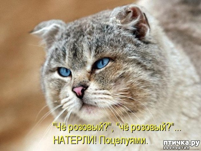 ���� 6: �������� ������������� �� ������� ������