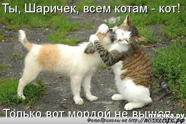 ���� 8: �������� ������������� �� ������� ������