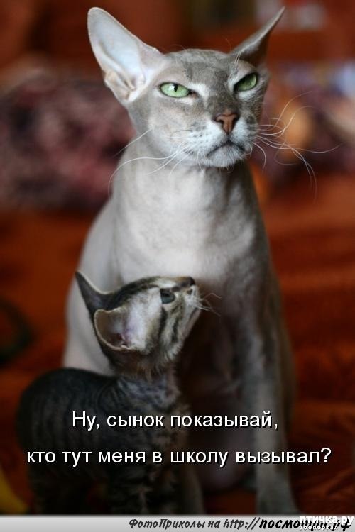 ���� 2: �������� ������������� �� ������� ������