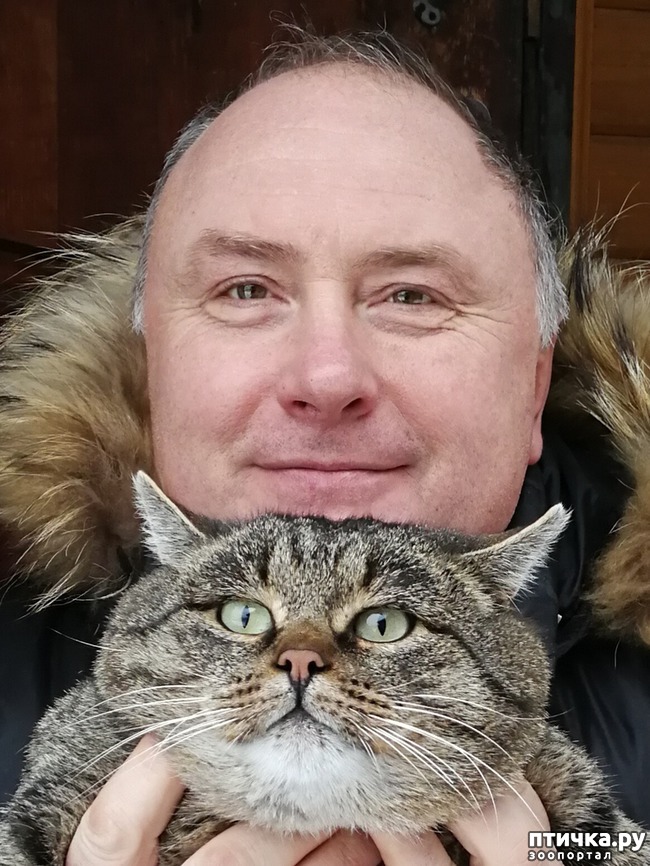 ���� 1: ������ � ��������