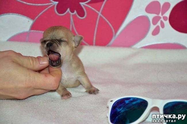 ���� 5: ����� ��������� ������� � ����! ���� �������� ���� ��������...