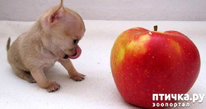 ����: ����� ��������� ������� � ����! ���� �������� ���� ��������...