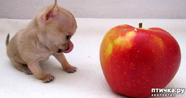 ���� 1: ����� ��������� ������� � ����! ���� �������� ���� ��������...