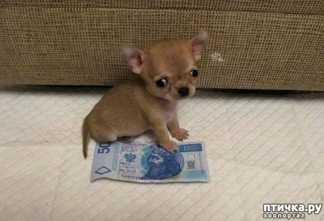 ���� 7: ����� ��������� ������� � ����! ���� �������� ���� ��������...