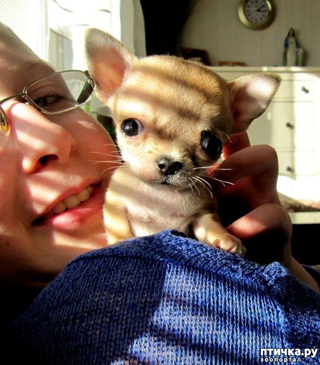 ���� 8: ����� ��������� ������� � ����! ���� �������� ���� ��������...