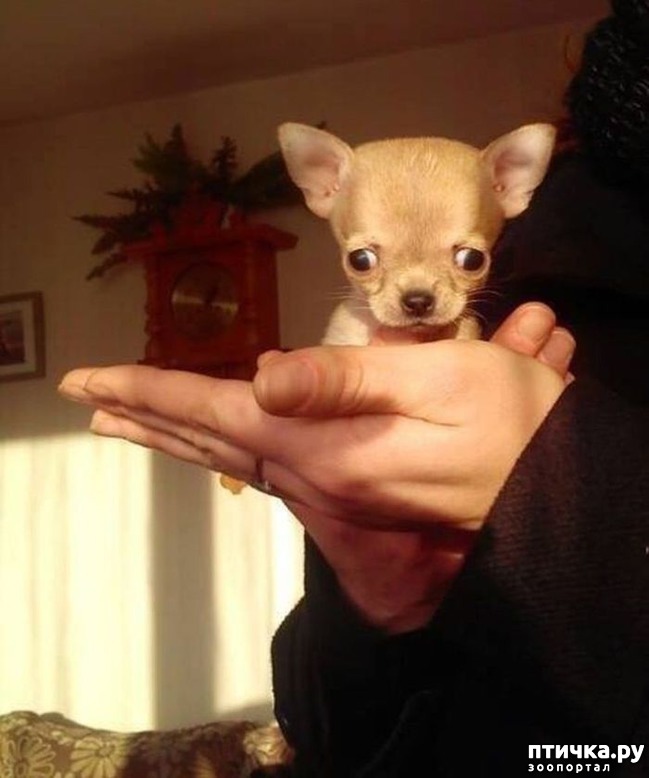 ���� 9: ����� ��������� ������� � ����! ���� �������� ���� ��������...