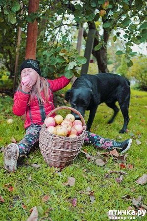 ����: ��� ��������� � ����� ������ ����� �������� ���� � ���������