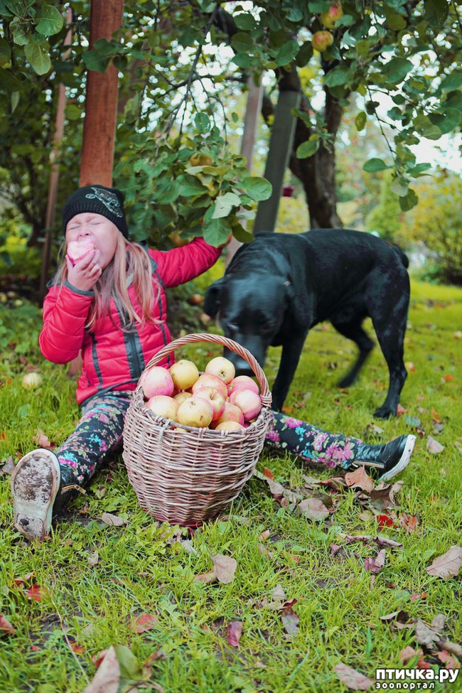 ���� 1: ��� ��������� � ����� ������ ����� �������� ���� � ���������